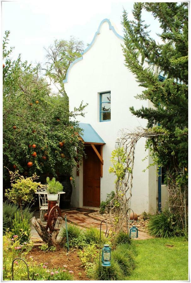 מידלבורג Tortelduif Cottage Offthegrid מראה חיצוני תמונה
