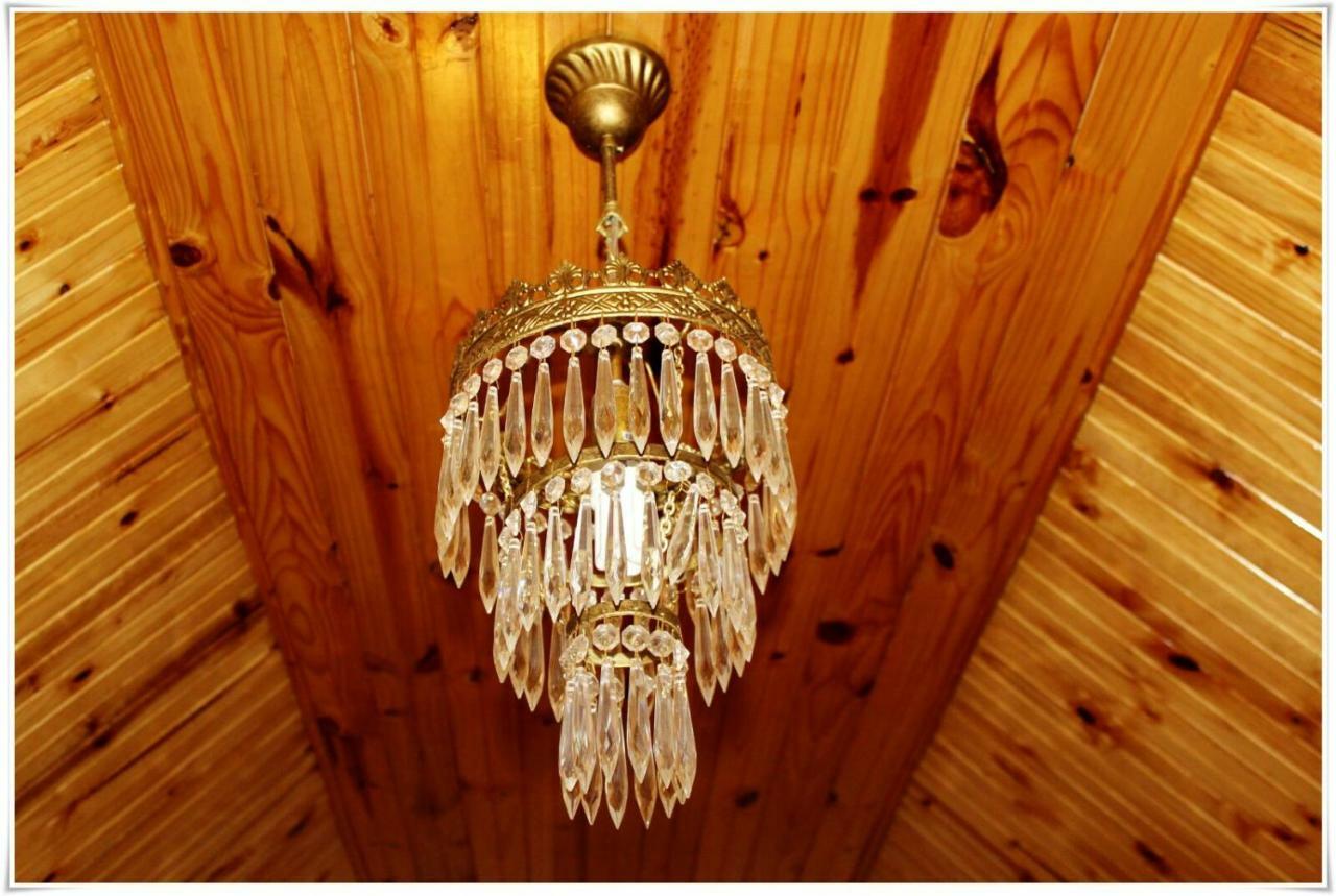 מידלבורג Tortelduif Cottage Offthegrid מראה חיצוני תמונה