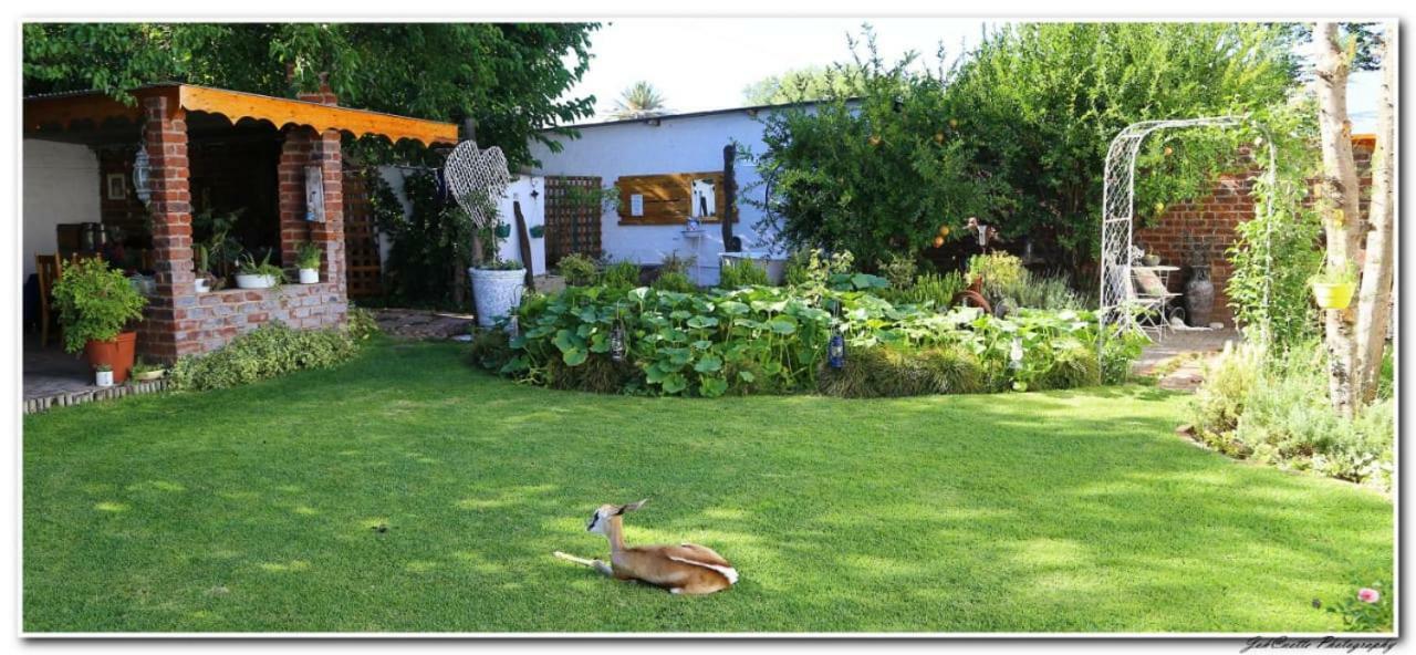 מידלבורג Tortelduif Cottage Offthegrid מראה חיצוני תמונה