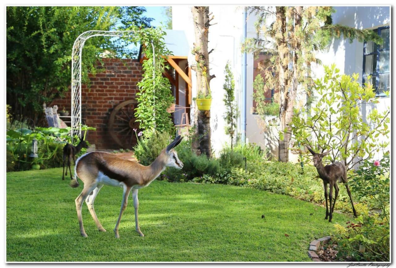 מידלבורג Tortelduif Cottage Offthegrid מראה חיצוני תמונה