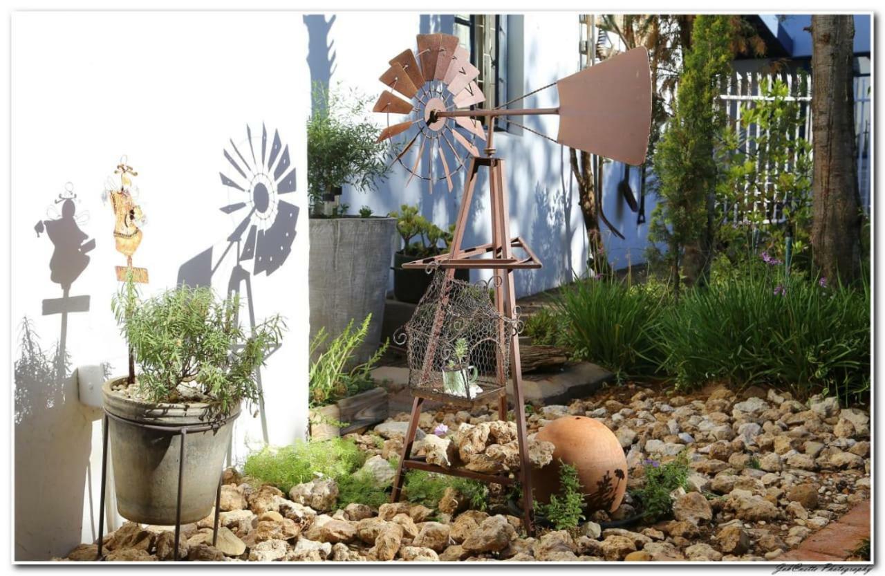 מידלבורג Tortelduif Cottage Offthegrid מראה חיצוני תמונה