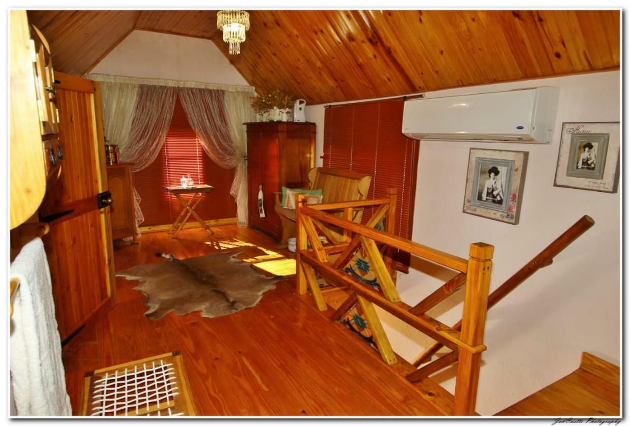 מידלבורג Tortelduif Cottage Offthegrid מראה חיצוני תמונה