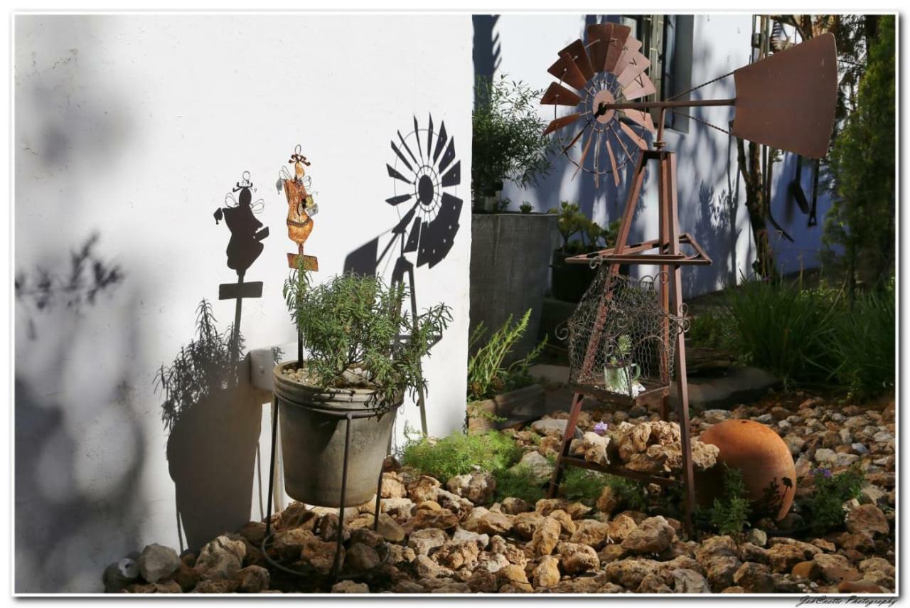 מידלבורג Tortelduif Cottage Offthegrid מראה חיצוני תמונה