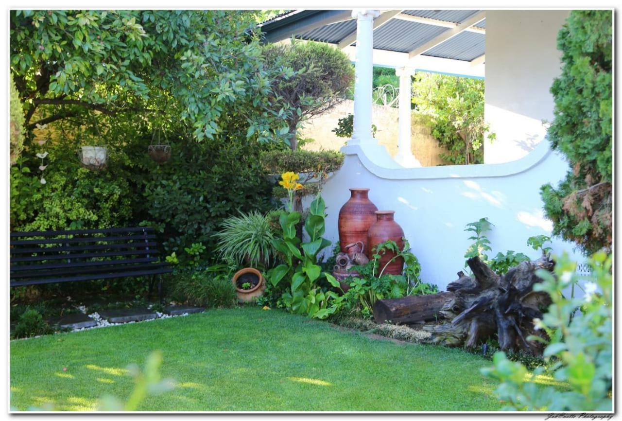 מידלבורג Tortelduif Cottage Offthegrid מראה חיצוני תמונה